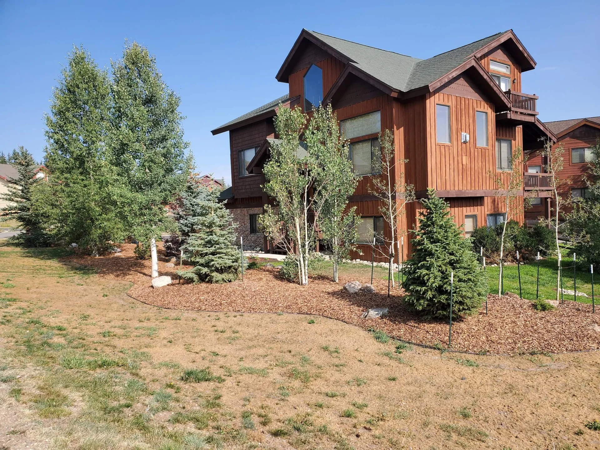 Professional tree care and arborist services