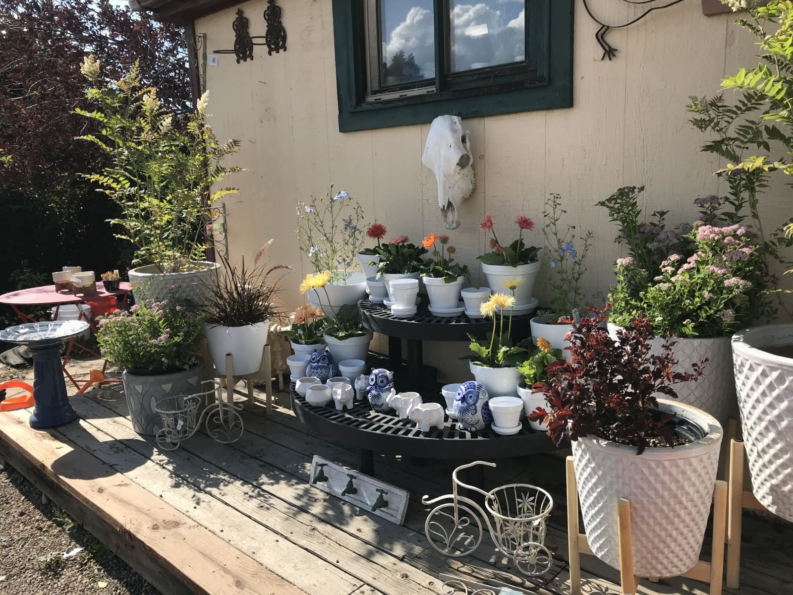 Grand County service area — Granby, Grand Lake, and the mountain valley