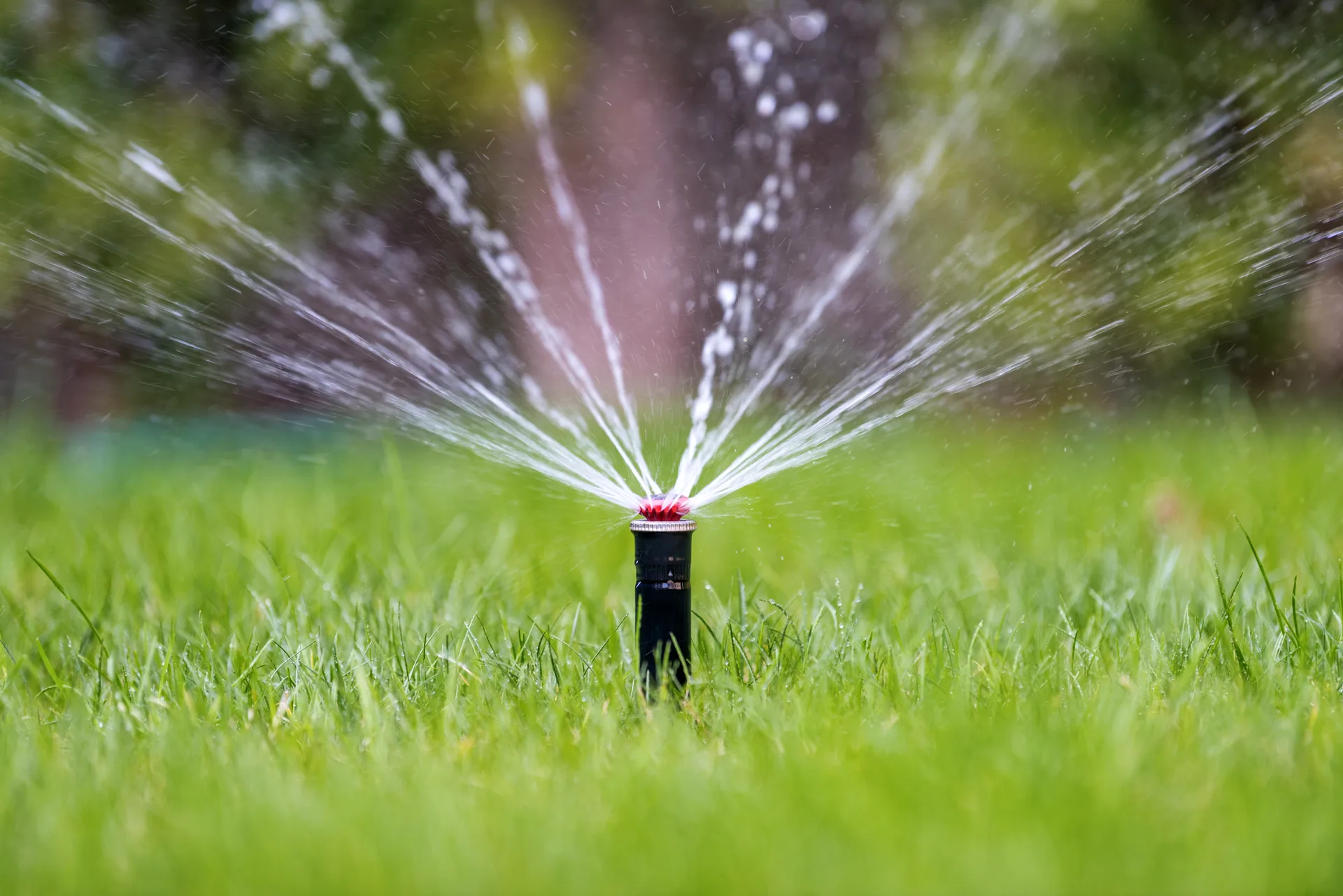 Sprinkler systems in Summit and Grand County