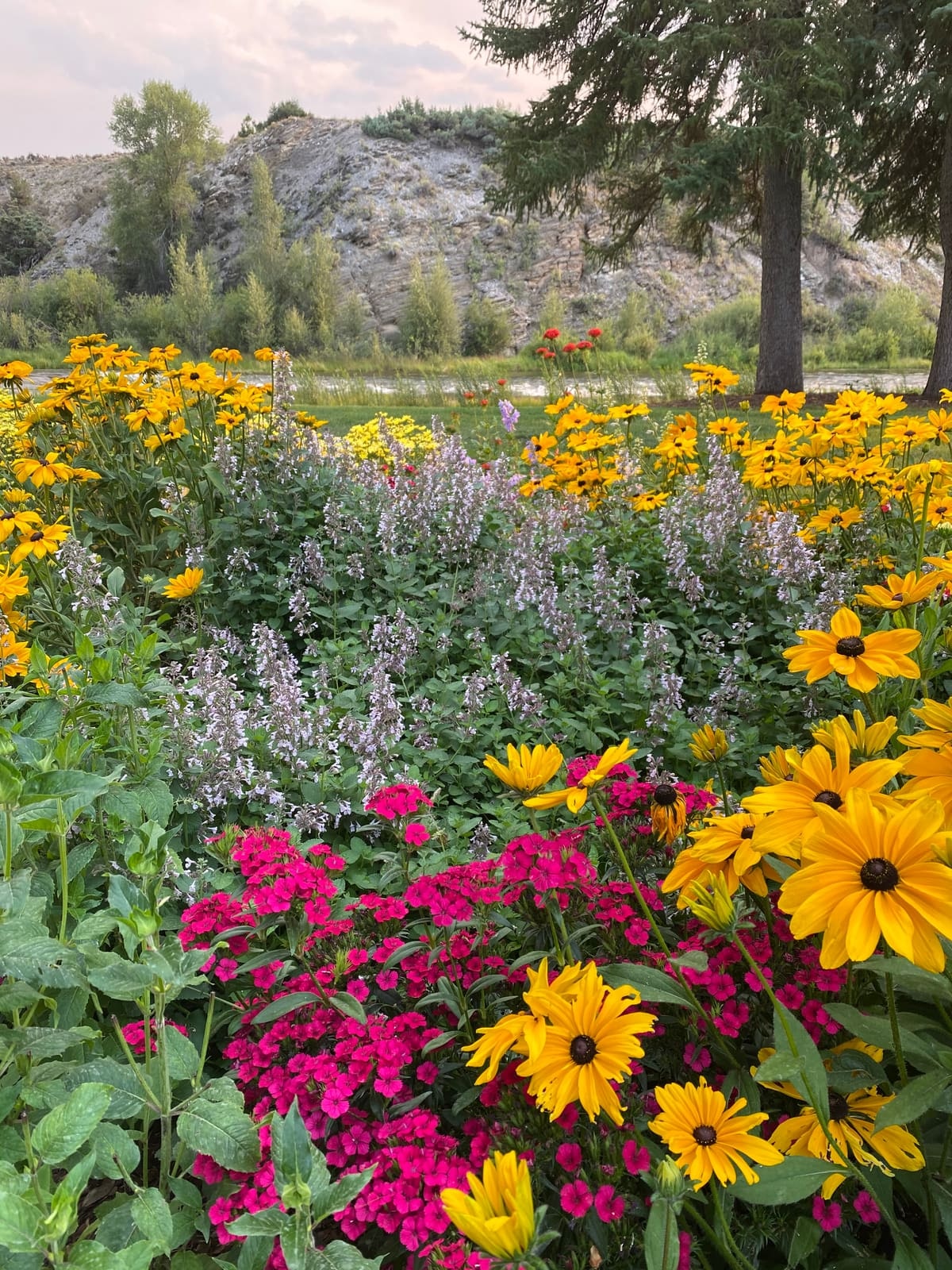 Neils Lunceford landscape maintenance Colorado