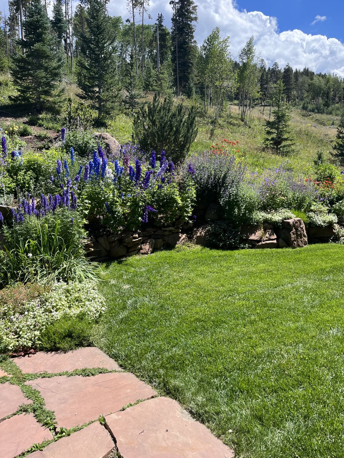 Planting and construction detail