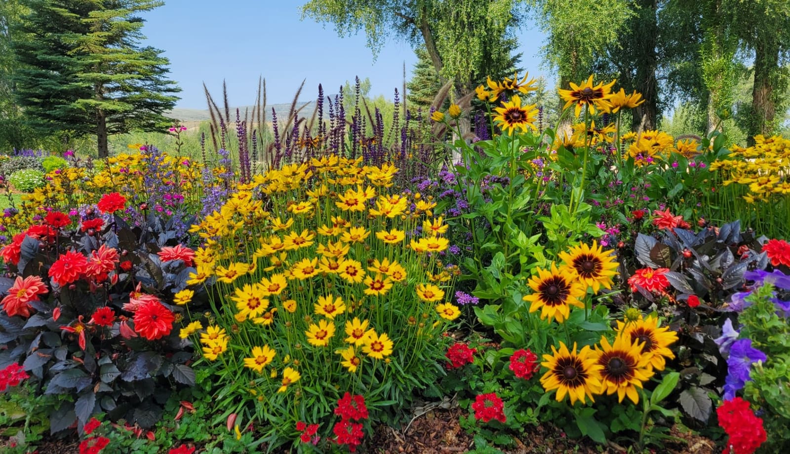 Colorado flower garden maintenance