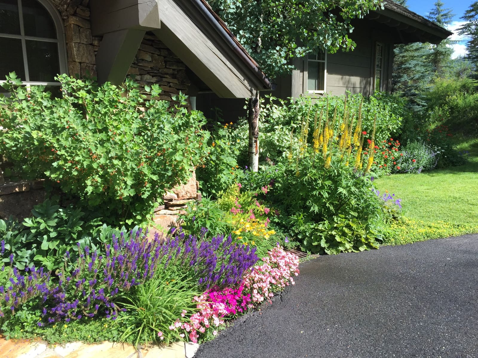 Neils Lunceford landscape design Colorado