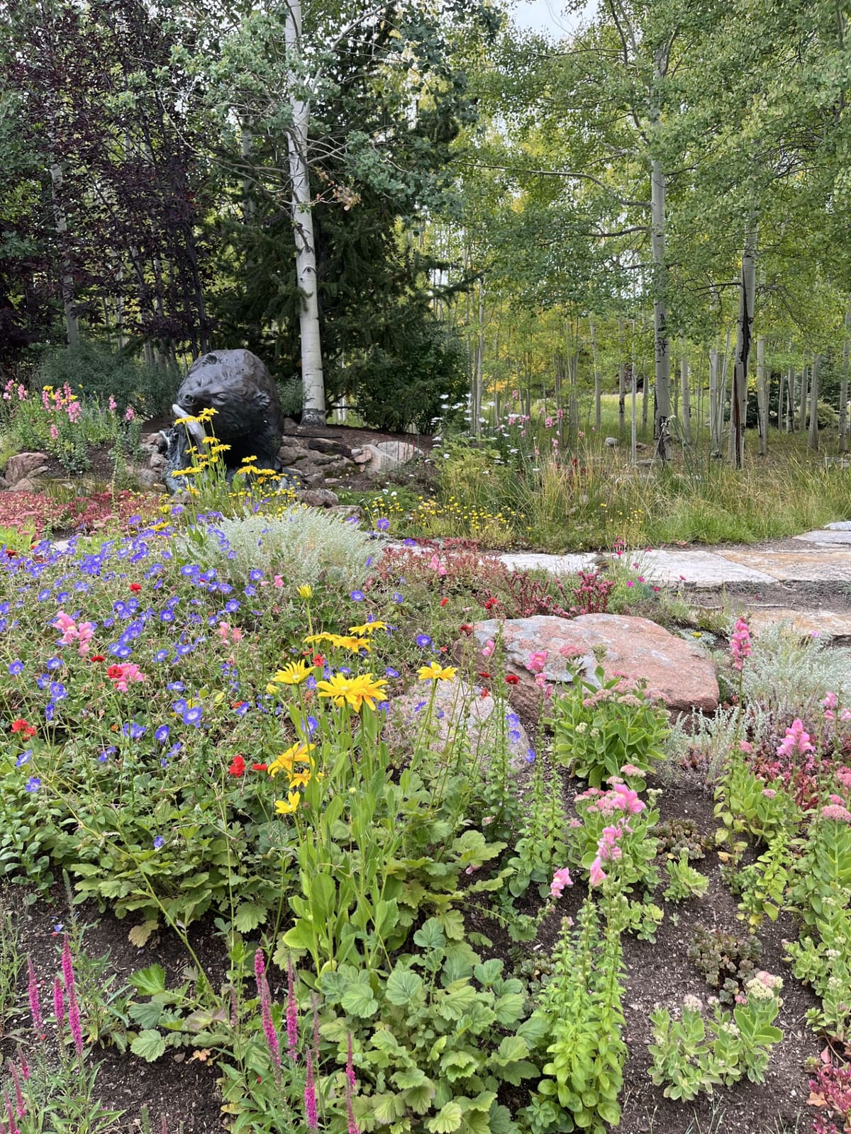 Perennial flower beds and mountain-hardy plantings