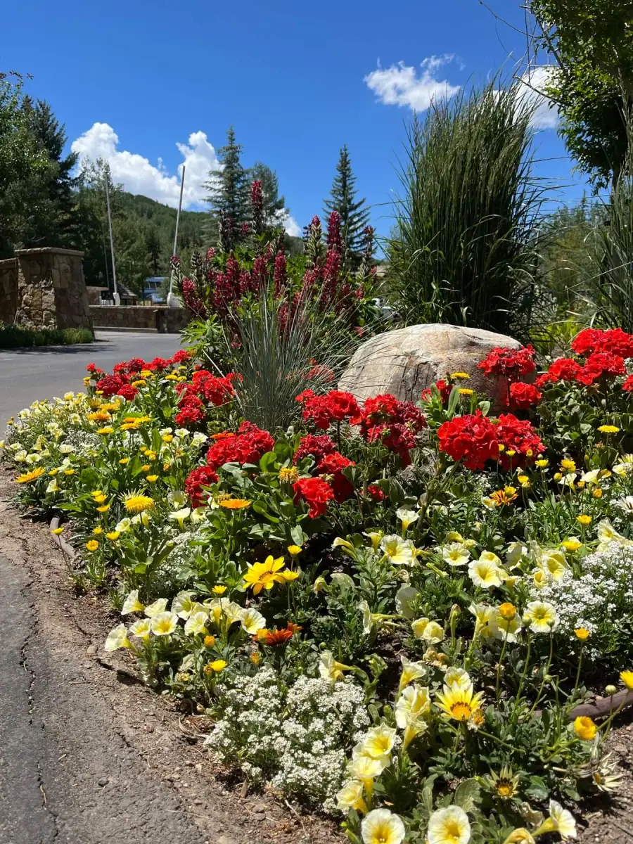 Plantings & Turf — portfolio project by Neils Lunceford, Summit & Grand County, Colorado