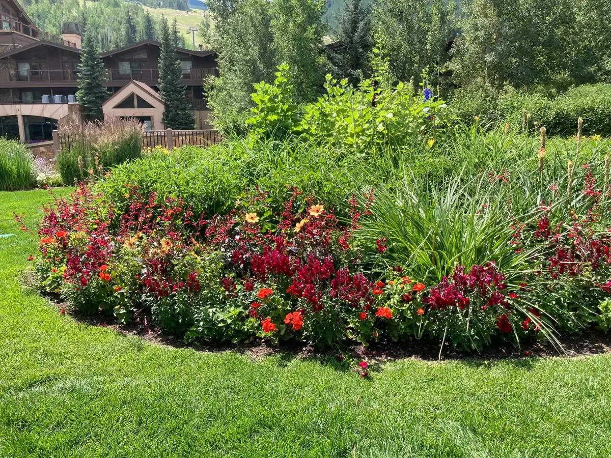 Plantings & Turf — portfolio project by Neils Lunceford, Summit & Grand County, Colorado