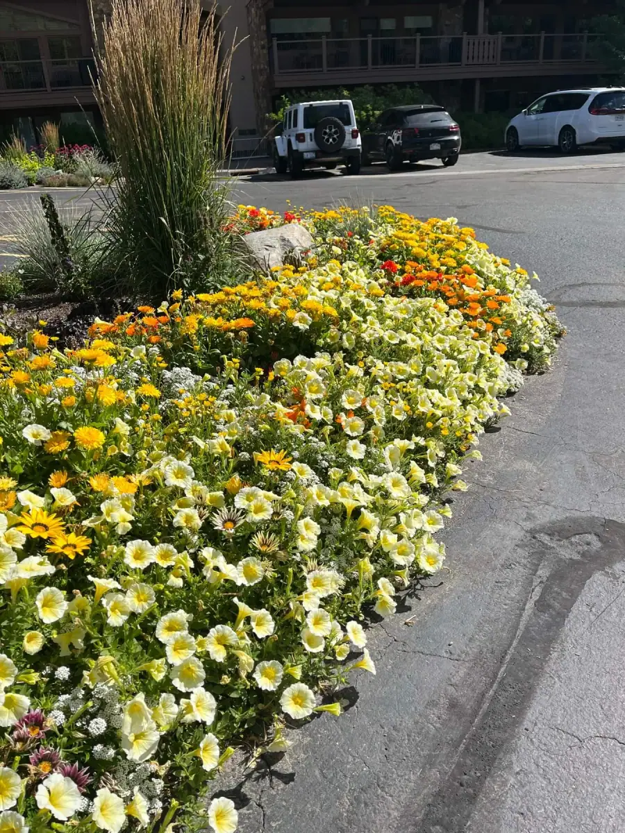 Plantings & Turf — portfolio project by Neils Lunceford, Summit & Grand County, Colorado