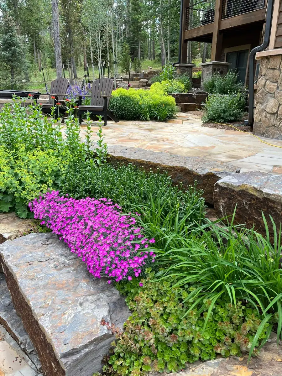Plantings & Turf — portfolio project by Neils Lunceford, Summit & Grand County, Colorado