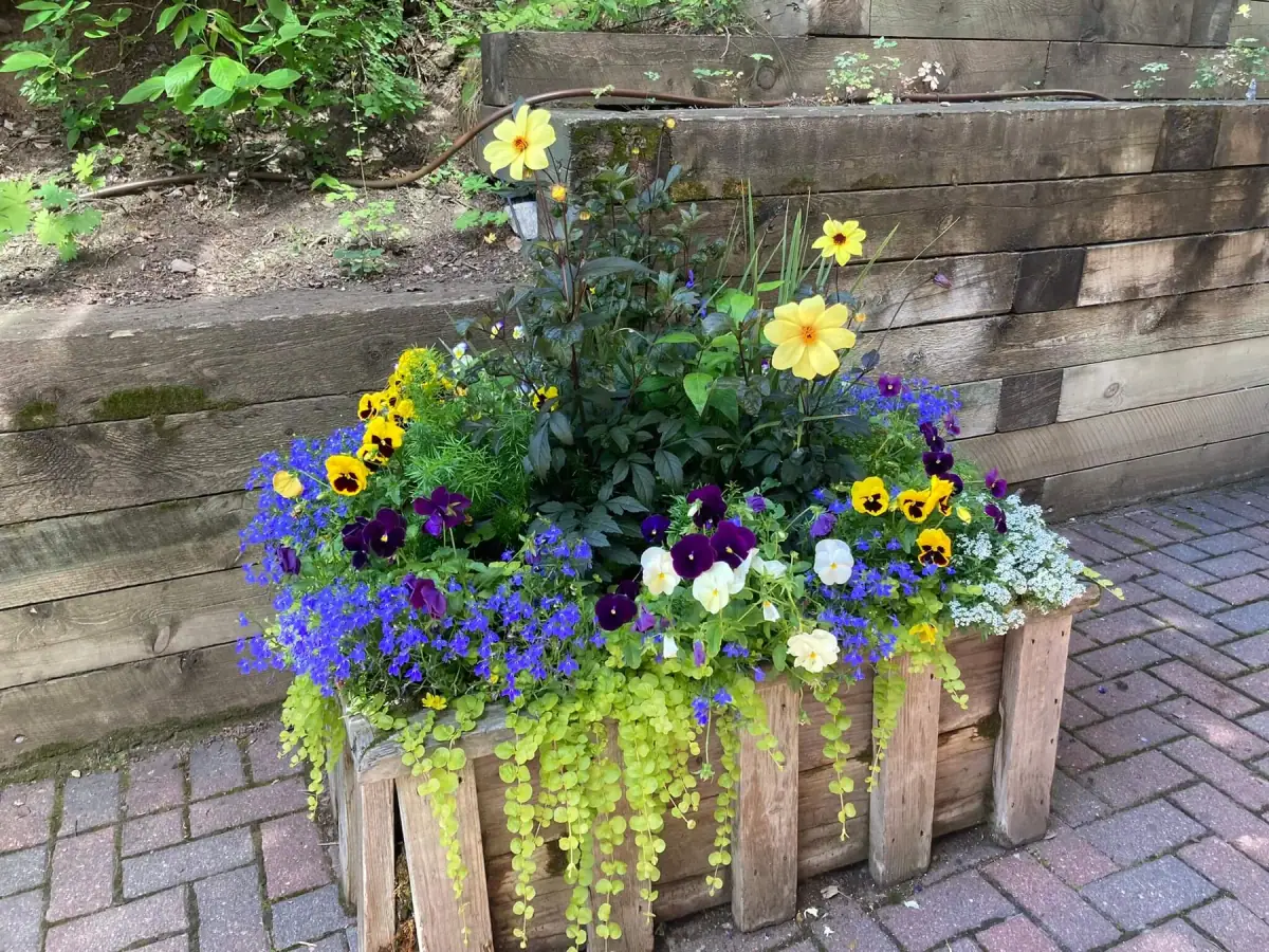 Custom Flower Pots — portfolio project by Neils Lunceford, Summit & Grand County, Colorado