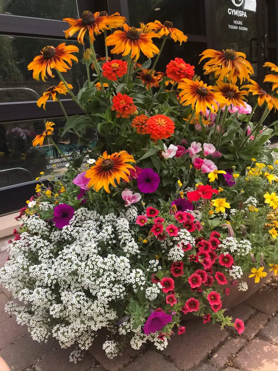 Custom Flower Pots — portfolio project by Neils Lunceford, Summit & Grand County, Colorado