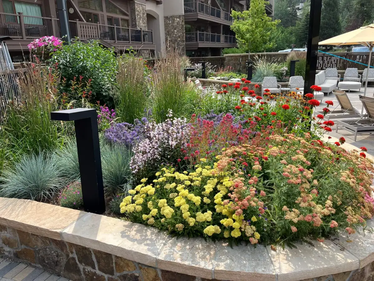 Plantings & Turf — portfolio project by Neils Lunceford, Summit & Grand County, Colorado