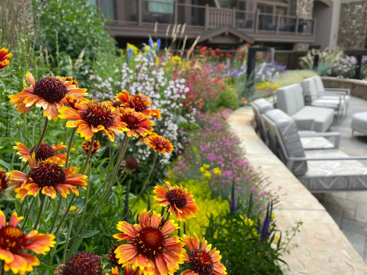 Plantings & Turf — portfolio project by Neils Lunceford, Summit & Grand County, Colorado