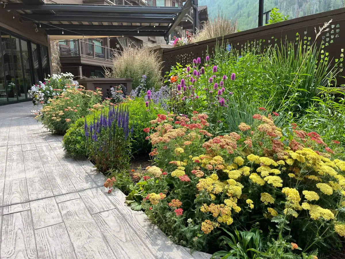 Plantings & Turf — portfolio project by Neils Lunceford, Summit & Grand County, Colorado