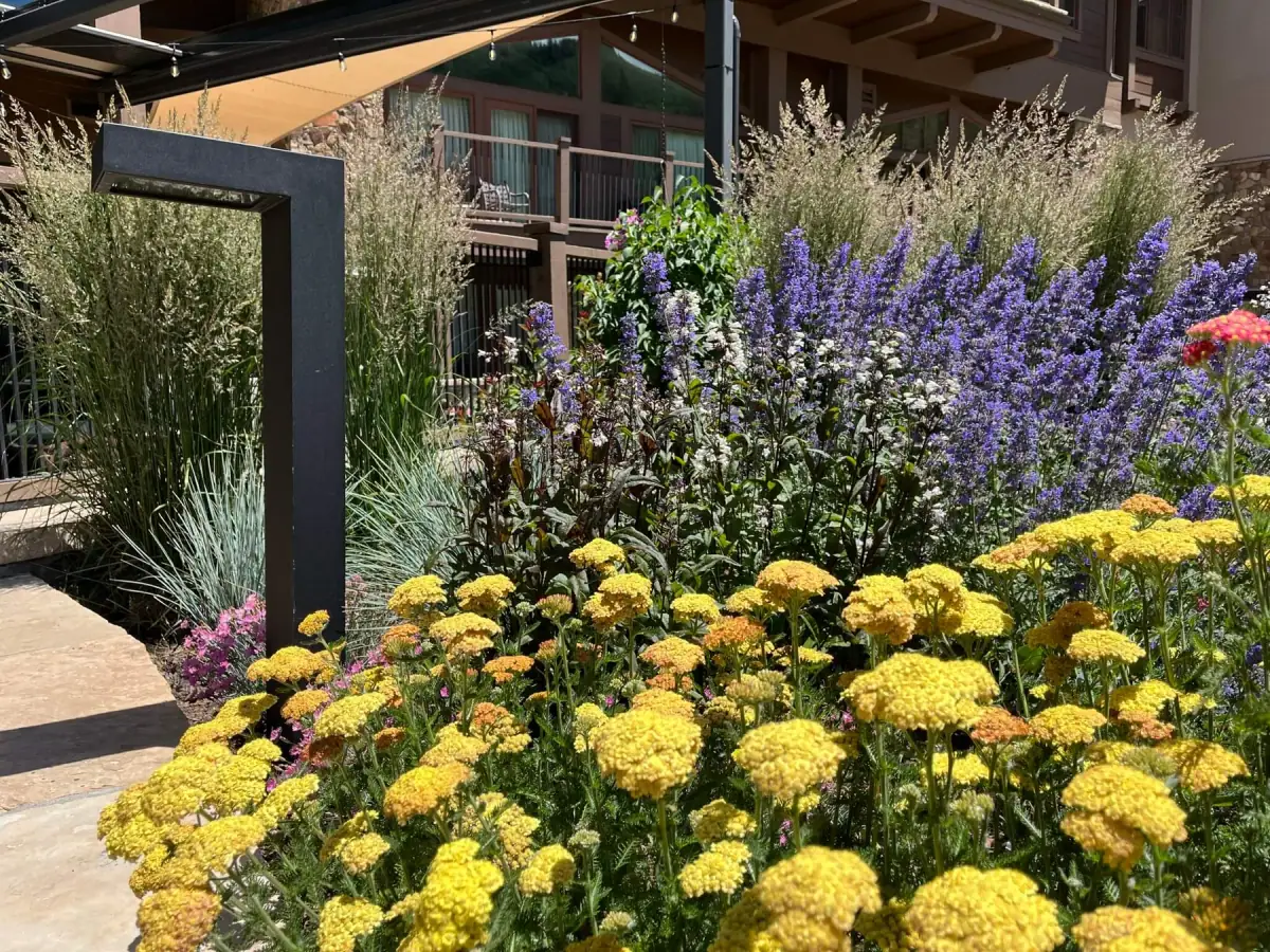 Plantings & Turf — portfolio project by Neils Lunceford, Summit & Grand County, Colorado