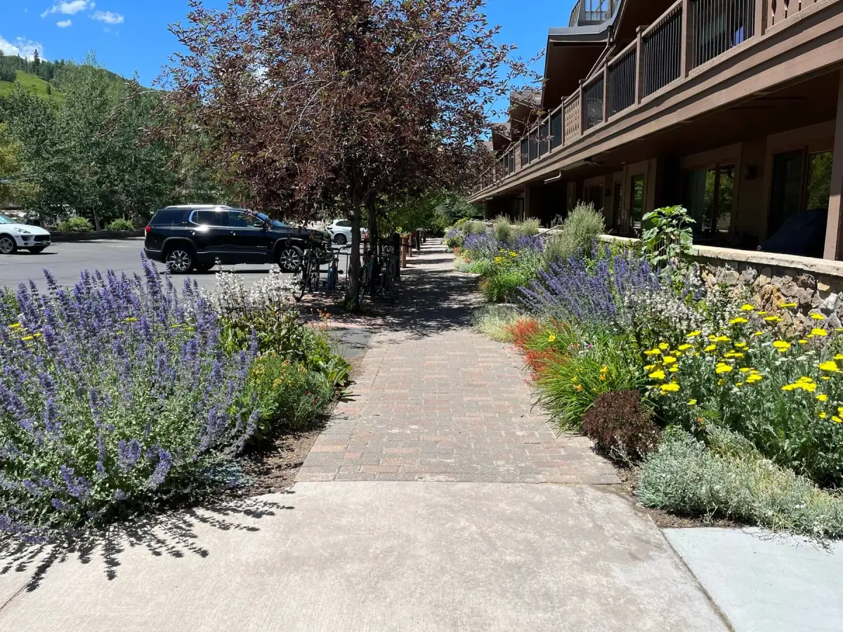 Plantings & Turf — portfolio project by Neils Lunceford, Summit & Grand County, Colorado