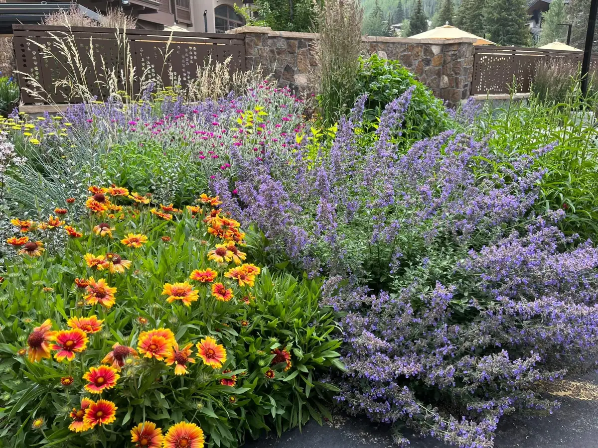 Landscape design and planting