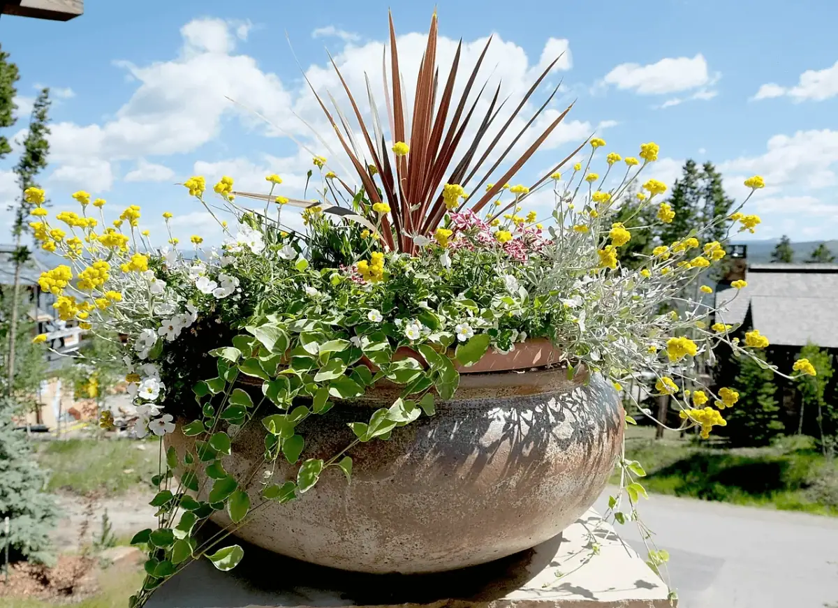 Custom flower pots and planters