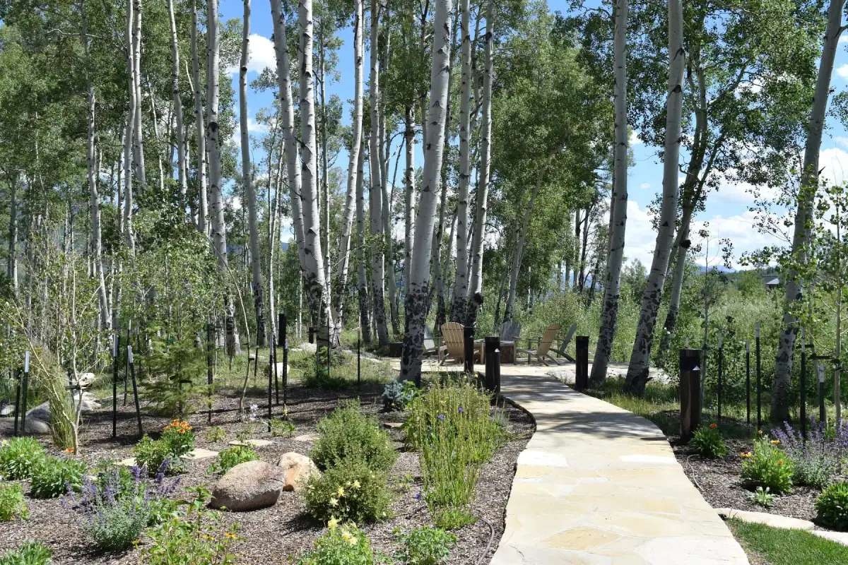 Outdoor Fireplaces & Fire Pits — portfolio project by Neils Lunceford, Summit & Grand County, Colorado