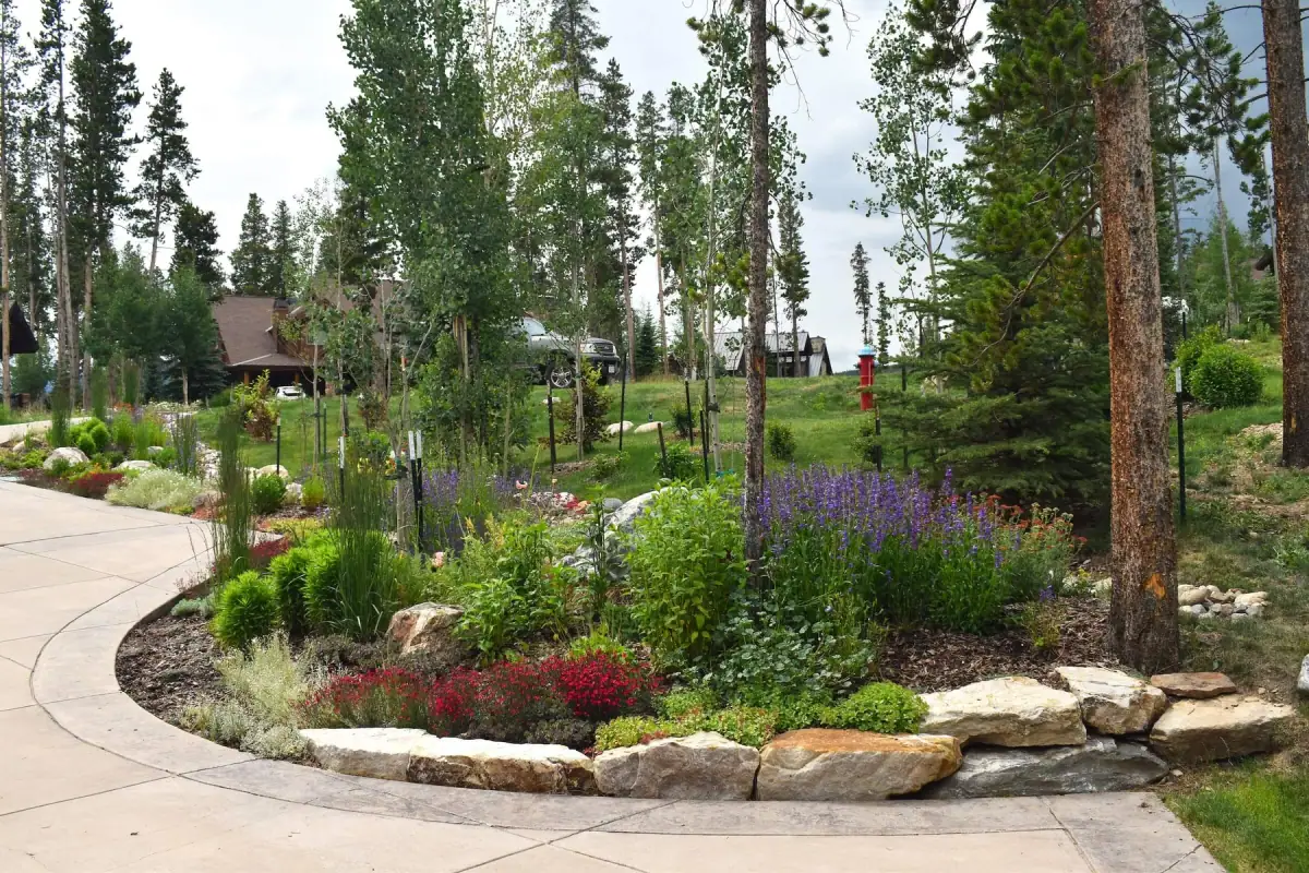 Plantings & Turf — portfolio project by Neils Lunceford, Summit & Grand County, Colorado