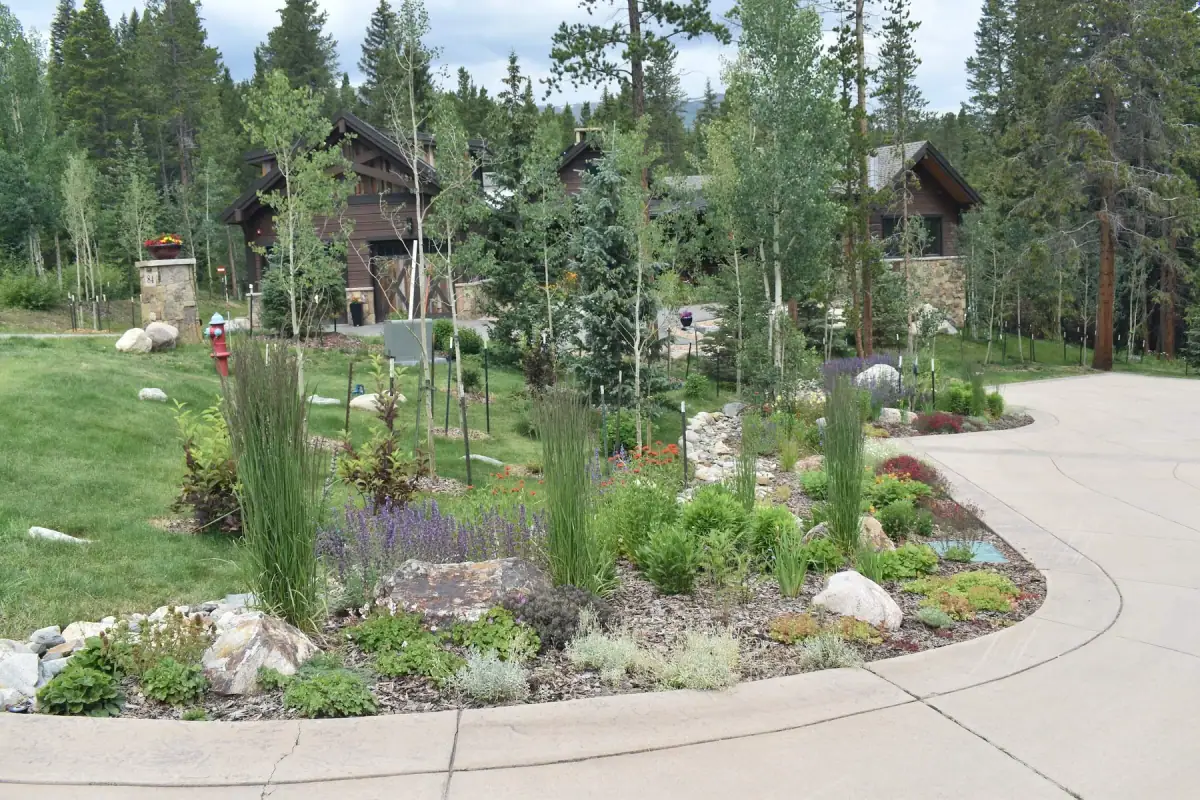 Plantings & Turf — portfolio project by Neils Lunceford, Summit & Grand County, Colorado